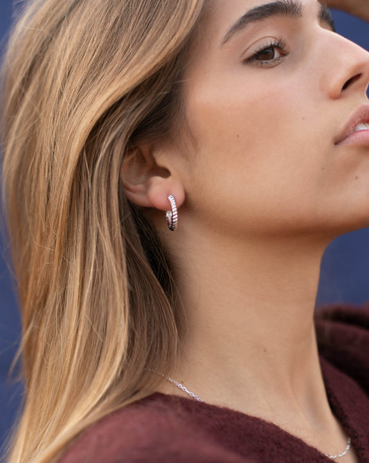 FRANCES Earrings Silver - Large